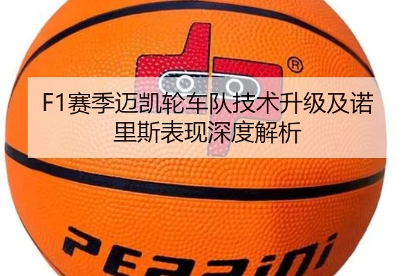 img_1790091992326_511_1_172.jpg